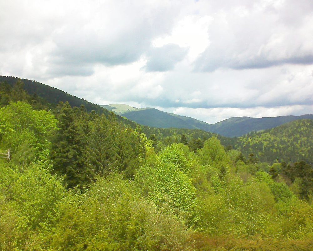 Le petit ballon vu depuis le Domaine Langmatt à Murbach le 15.05.2017 à 13:15 Le petit ballon (Alsace, Vosges) le 15.05.2017 à 13:15