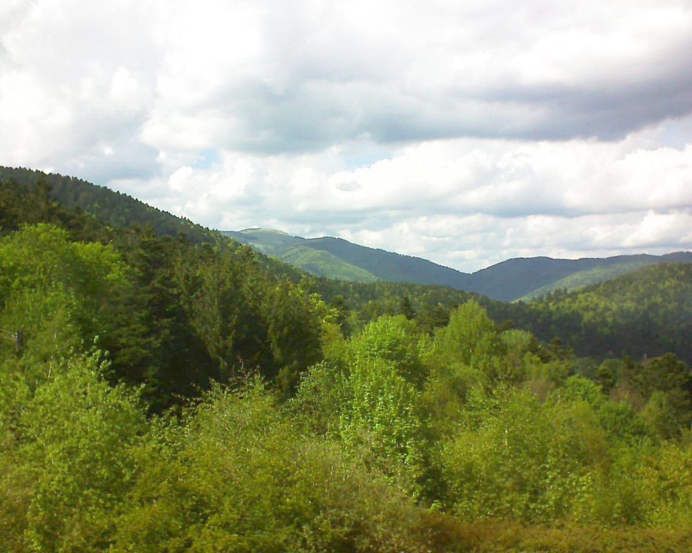 Le petit ballon vu depuis le Domaine Langmatt à Murbach le 15.05.2017 à 16:15 Le petit ballon (Alsace, Vosges) le 15.05.2017 à 16:15