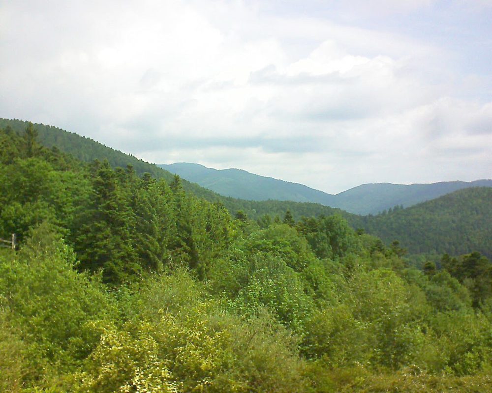 Le petit ballon vu depuis le Domaine Langmatt à Murbach le 31.05.2017 à 11:15 Le petit ballon (Alsace, Vosges) le 31.05.2017 à 11:15