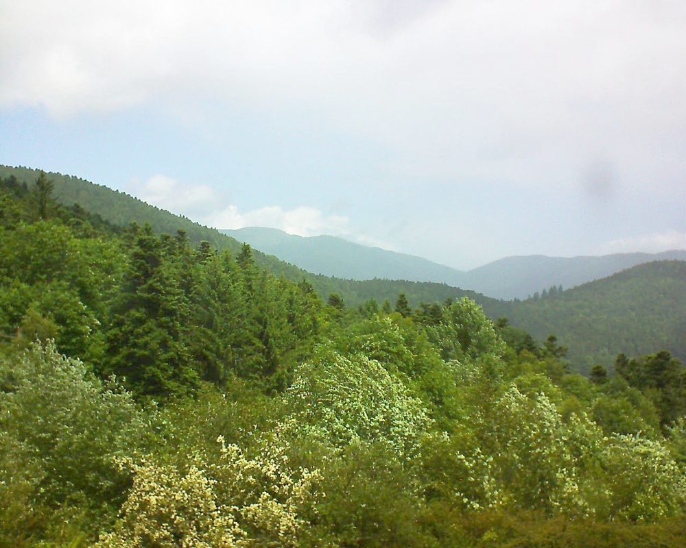 Le petit ballon vu depuis le Domaine Langmatt à Murbach le 07.06.2017 à 12:30 Le petit ballon (Alsace, Vosges) le 07.06.2017 à 12:30