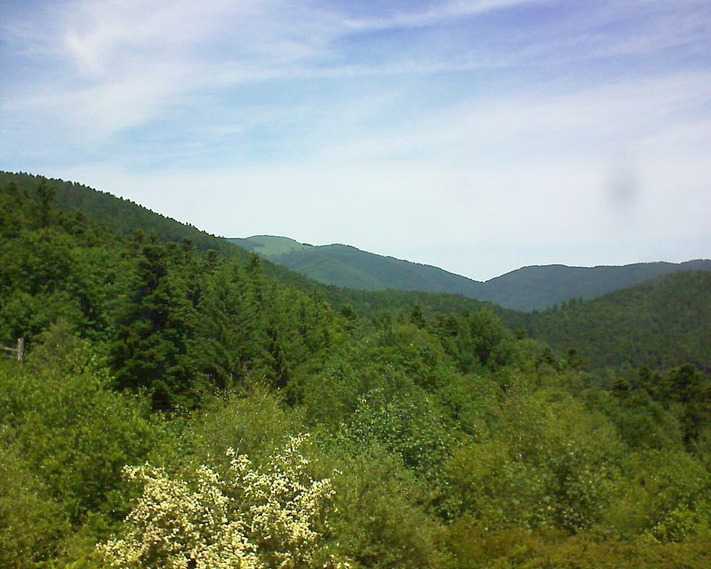 Le petit ballon vu depuis le Domaine Langmatt à Murbach le 08.06.2017 à 13:00 Le petit ballon (Alsace, Vosges) le 08.06.2017 à 13:00