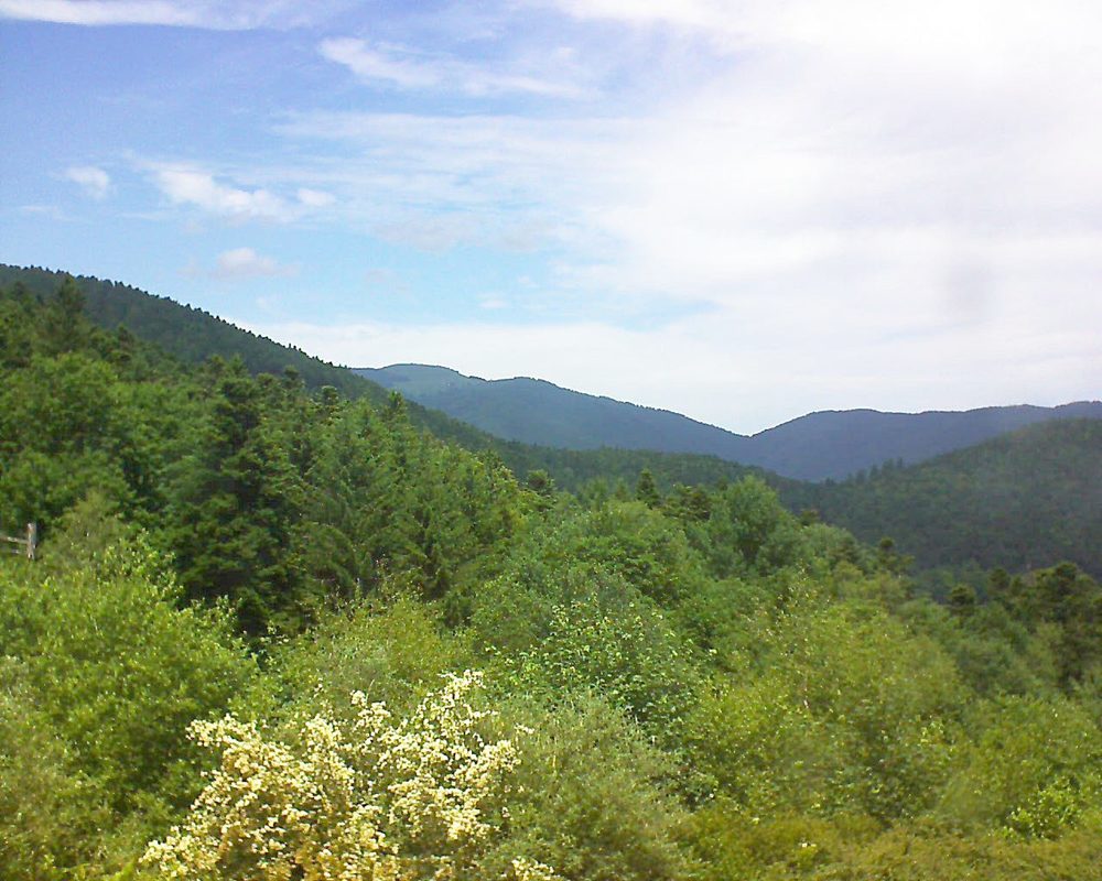 Le petit ballon vu depuis le Domaine Langmatt à Murbach le 13.06.2017 à 13:15 Le petit ballon (Alsace, Vosges) le 13.06.2017 à 13:15