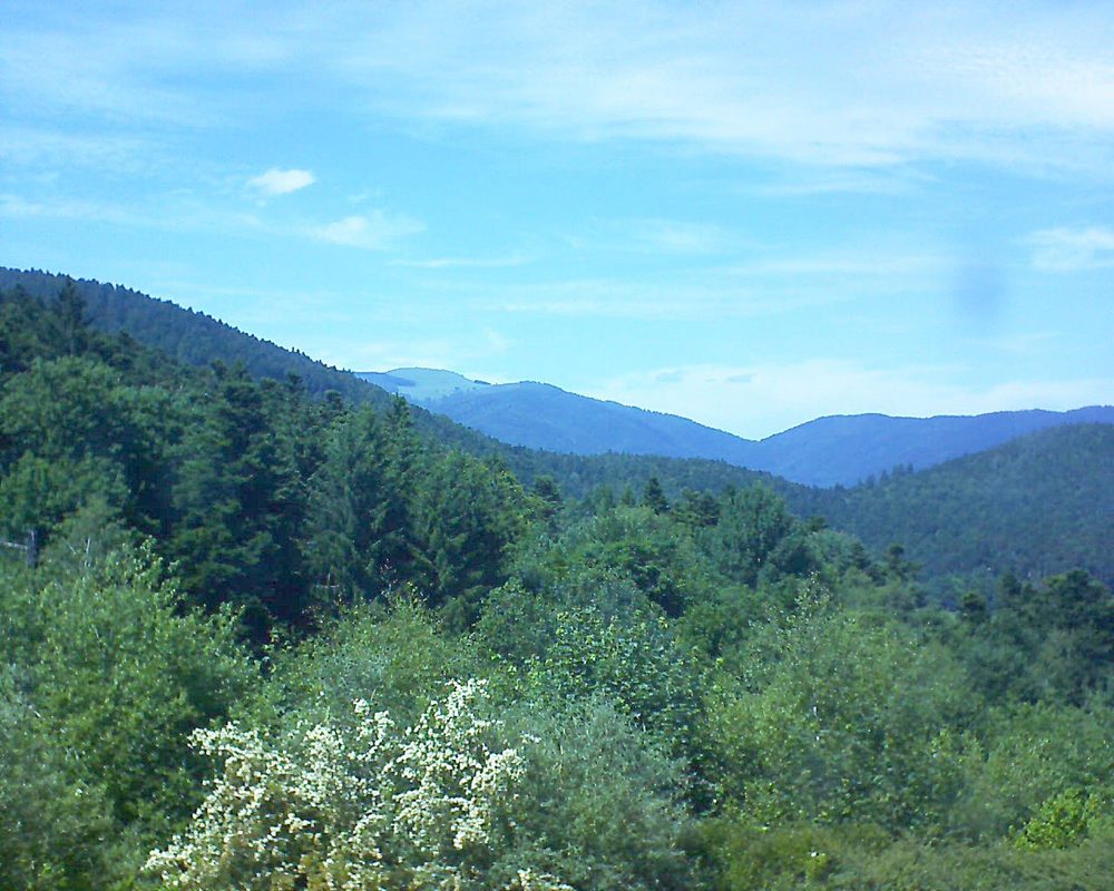 Le petit ballon vu depuis le Domaine Langmatt à Murbach le 13.06.2017 à 15:15 Le petit ballon (Alsace, Vosges) le 13.06.2017 à 15:15