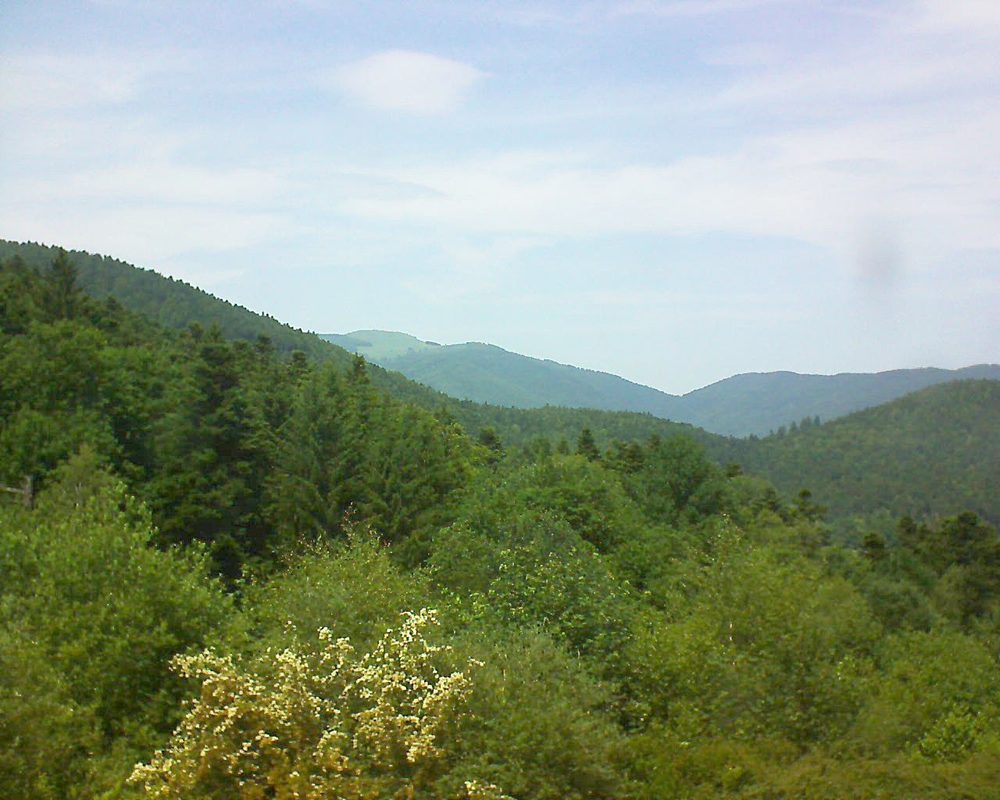 Le petit ballon vu depuis le Domaine Langmatt à Murbach le 14.06.2017 à 14:15 Le petit ballon (Alsace, Vosges) le 14.06.2017 à 14:15
