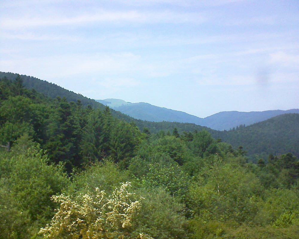 Le petit ballon vu depuis le Domaine Langmatt à Murbach le 14.06.2017 à 15:00 Le petit ballon (Alsace, Vosges) le 14.06.2017 à 15:00