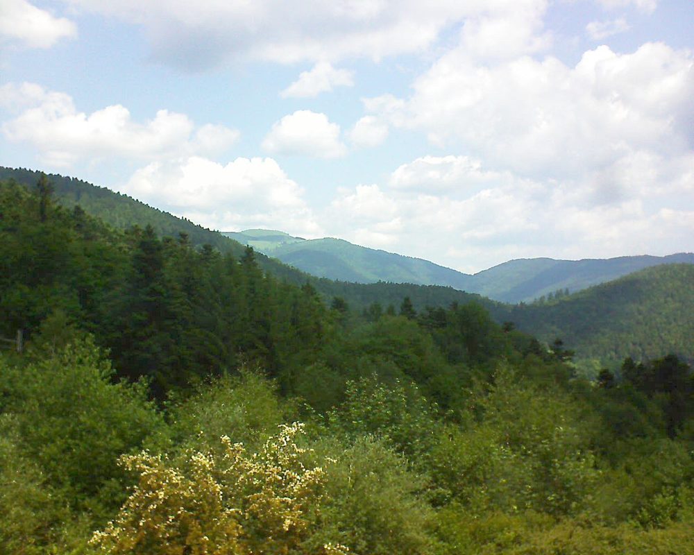 Le petit ballon vu depuis le Domaine Langmatt à Murbach le 15.06.2017 à 12:15 Le petit ballon (Alsace, Vosges) le 15.06.2017 à 12:15