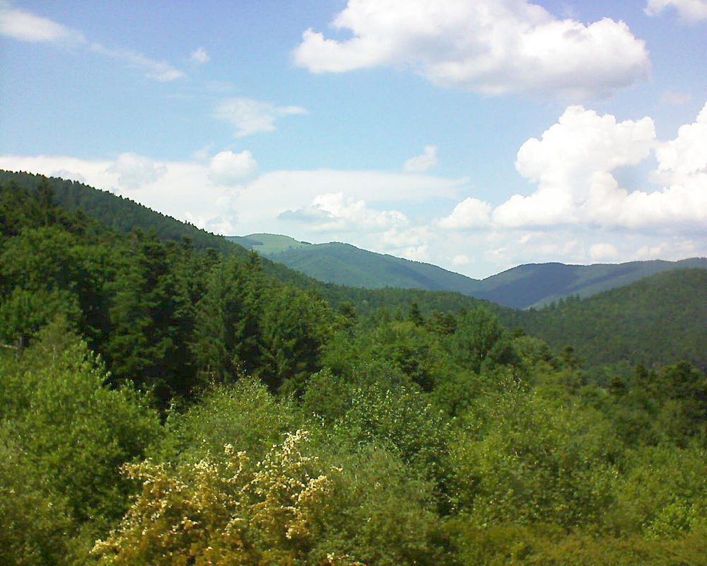 Le petit ballon vu depuis le Domaine Langmatt à Murbach le 15.06.2017 à 15:15 Le petit ballon (Alsace, Vosges) le 15.06.2017 à 15:15