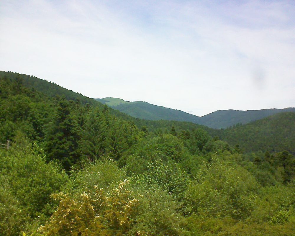 Le petit ballon vu depuis le Domaine Langmatt à Murbach le 16.06.2017 à 13:30 Le petit ballon (Alsace, Vosges) le 16.06.2017 à 13:30