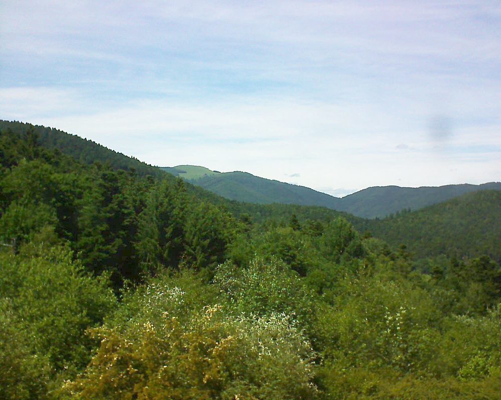 Le petit ballon vu depuis le Domaine Langmatt à Murbach le 16.06.2017 à 15:15 Le petit ballon (Alsace, Vosges) le 16.06.2017 à 15:15