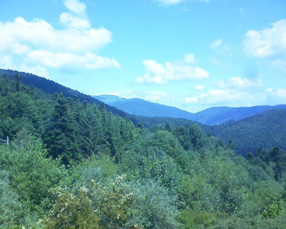 Le petit ballon vu depuis le Domaine Langmatt à Murbach le 17.06.2017 à 12:00 Le petit ballon (Alsace, Vosges) le 17.06.2017 à 12:00