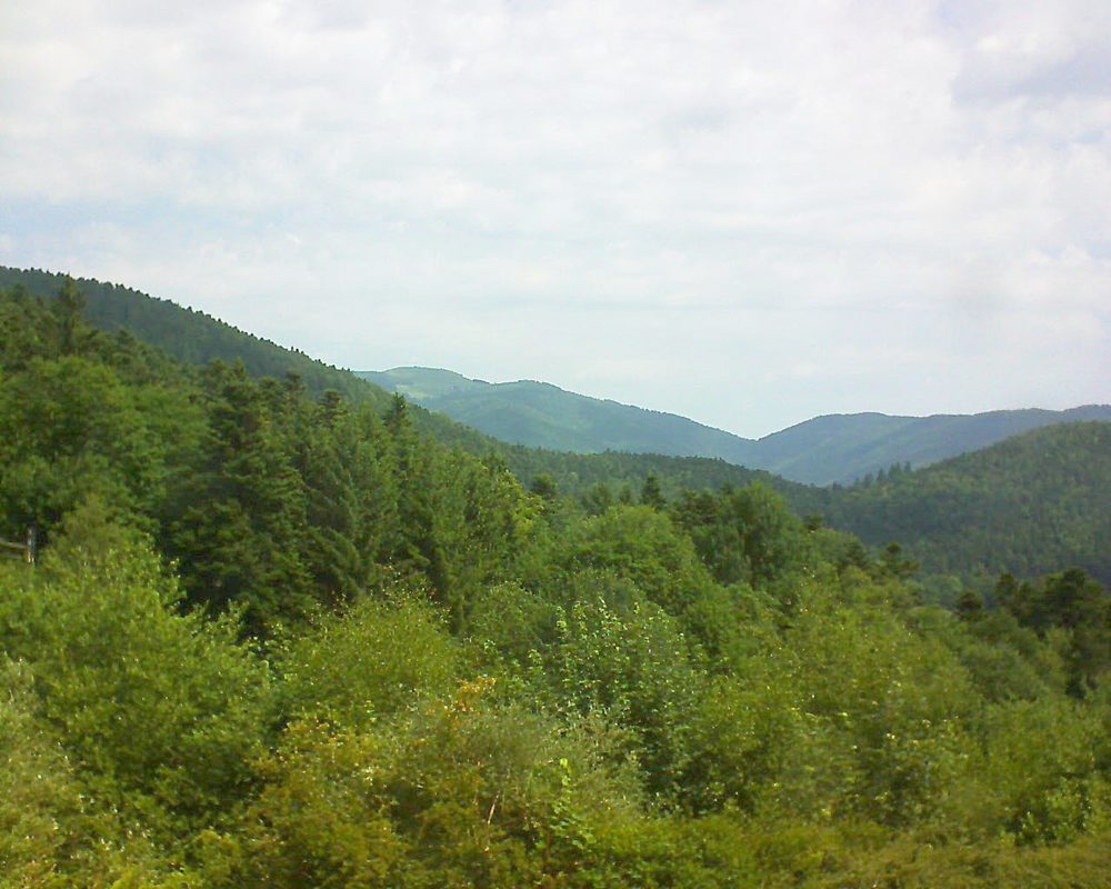 Le petit ballon vu depuis le Domaine Langmatt à Murbach le 20.06.2017 à 11:15 Le petit ballon (Alsace, Vosges) le 20.06.2017 à 11:15