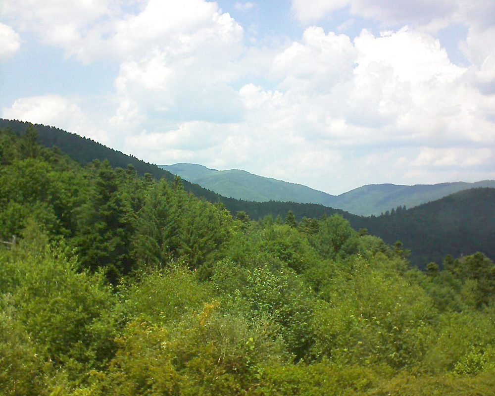 Le petit ballon vu depuis le Domaine Langmatt à Murbach le 20.06.2017 à 14:15 Le petit ballon (Alsace, Vosges) le 20.06.2017 à 14:15