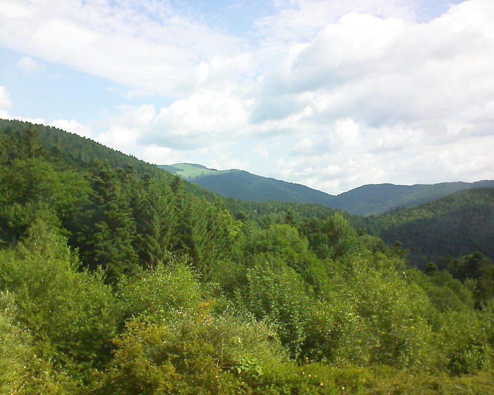 Le petit ballon vu depuis le Domaine Langmatt à Murbach le 25.06.2017 à 10:00 Le petit ballon (Alsace, Vosges) le 25.06.2017 à 10:00