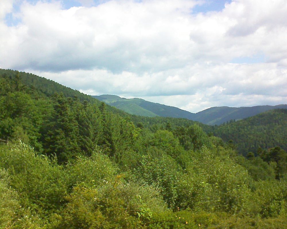Le petit ballon vu depuis le Domaine Langmatt à Murbach le 25.06.2017 à 11:00 Le petit ballon (Alsace, Vosges) le 25.06.2017 à 11:00