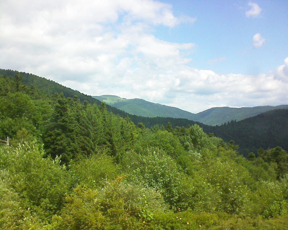 Le petit ballon vu depuis le Domaine Langmatt à Murbach le 25.06.2017 à 12:00 Le petit ballon (Alsace, Vosges) le 25.06.2017 à 12:00