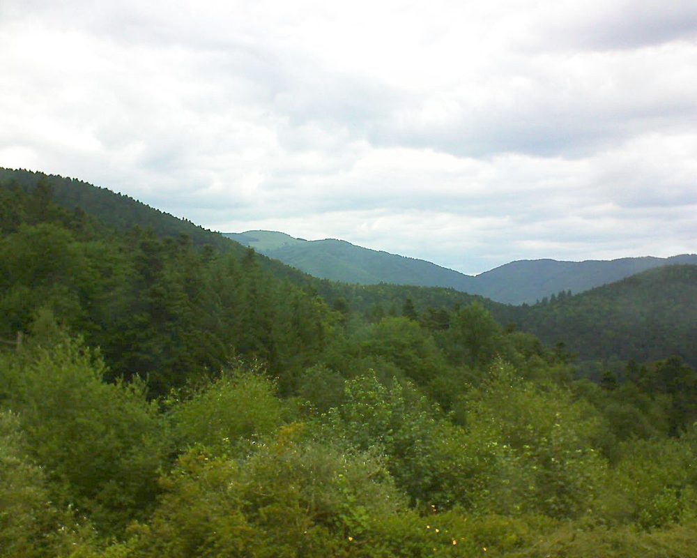 Le petit ballon vu depuis le Domaine Langmatt à Murbach le 25.06.2017 à 12:45 Le petit ballon (Alsace, Vosges) le 25.06.2017 à 12:45