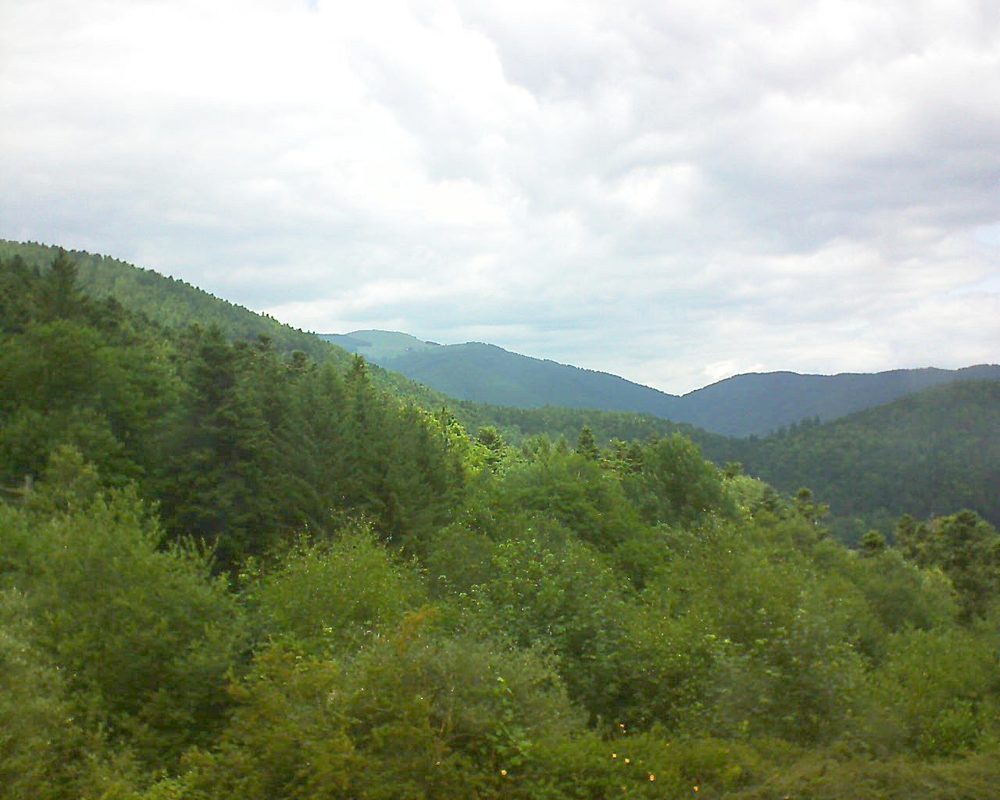 Le petit ballon vu depuis le Domaine Langmatt à Murbach le 25.06.2017 à 13:15 Le petit ballon (Alsace, Vosges) le 25.06.2017 à 13:15