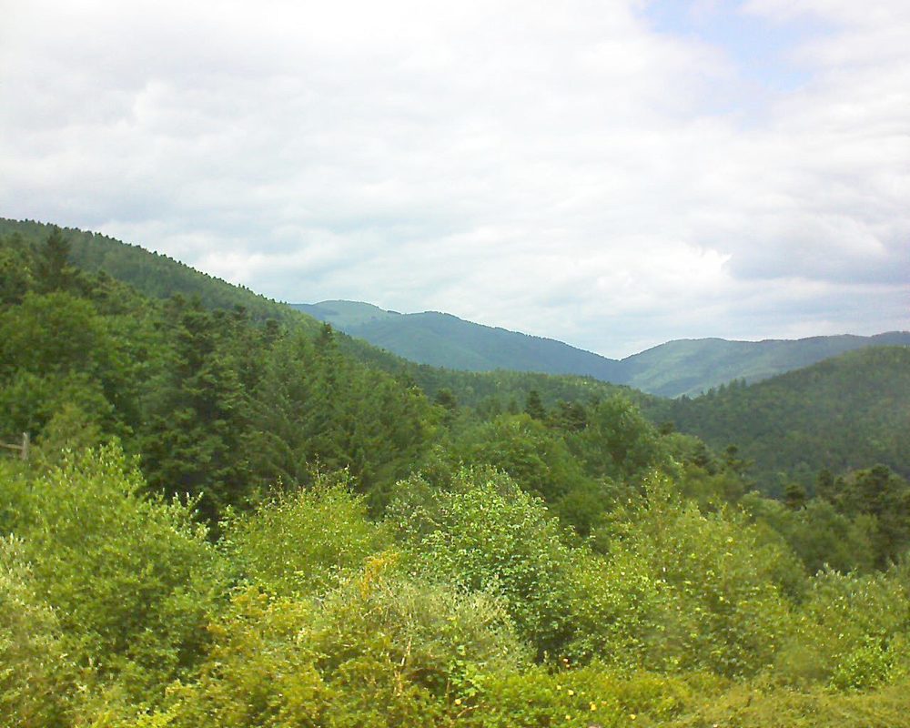 Le petit ballon vu depuis le Domaine Langmatt à Murbach le 25.06.2017 à 13:45 Le petit ballon (Alsace, Vosges) le 25.06.2017 à 13:45