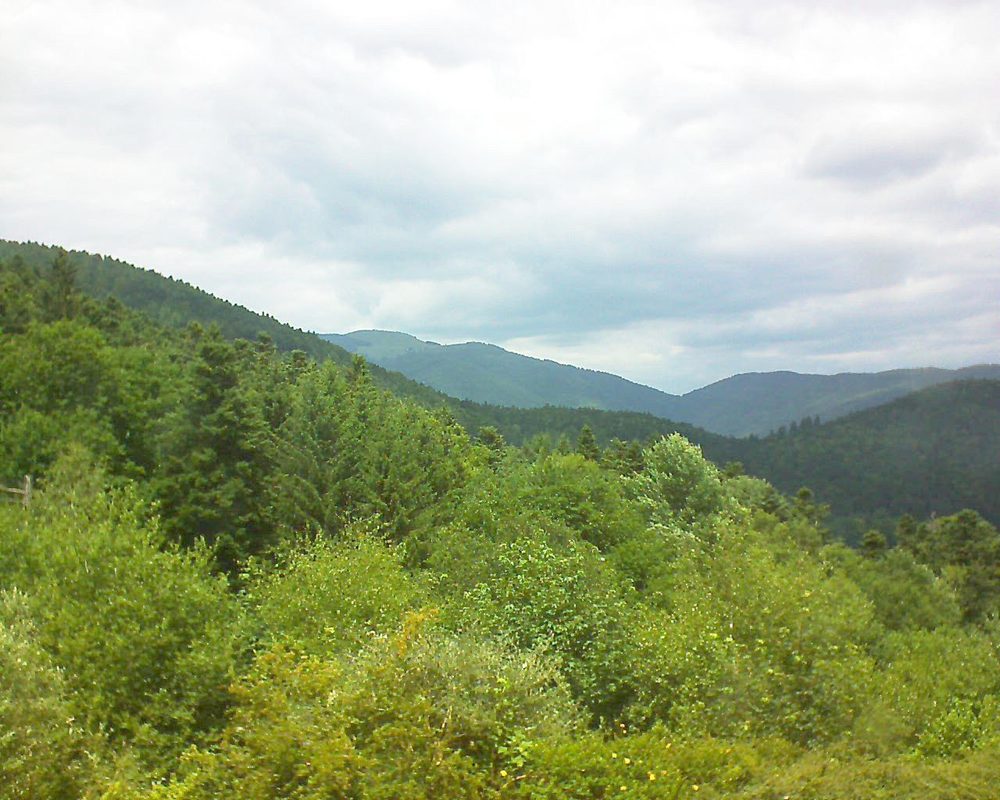 Le petit ballon vu depuis le Domaine Langmatt à Murbach le 25.06.2017 à 14:00 Le petit ballon (Alsace, Vosges) le 25.06.2017 à 14:00