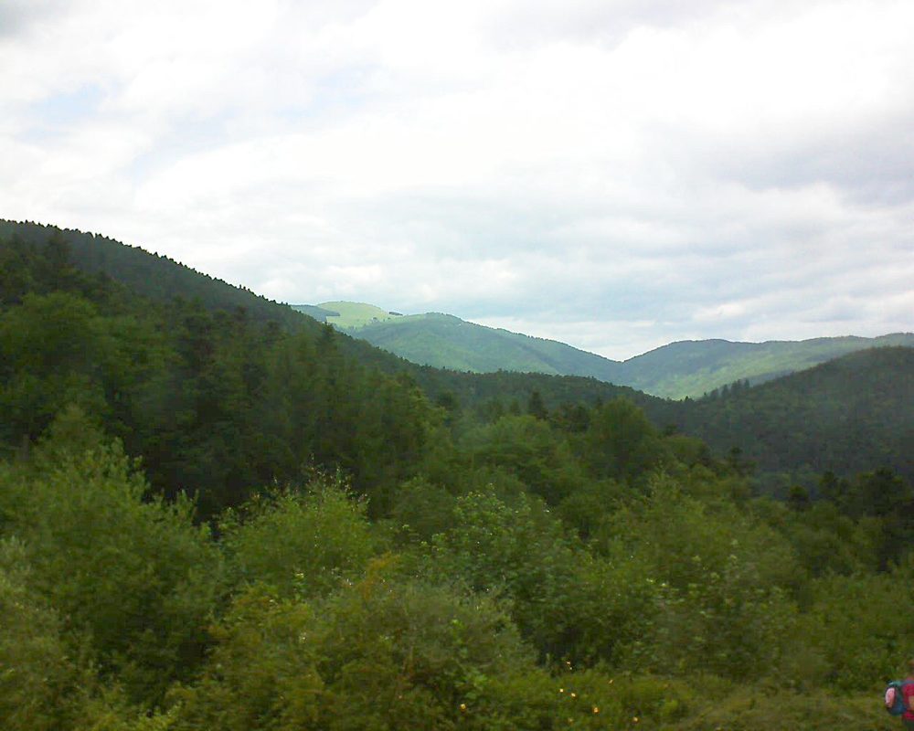 Le petit ballon vu depuis le Domaine Langmatt à Murbach le 25.06.2017 à 14:45 Le petit ballon (Alsace, Vosges) le 25.06.2017 à 14:45