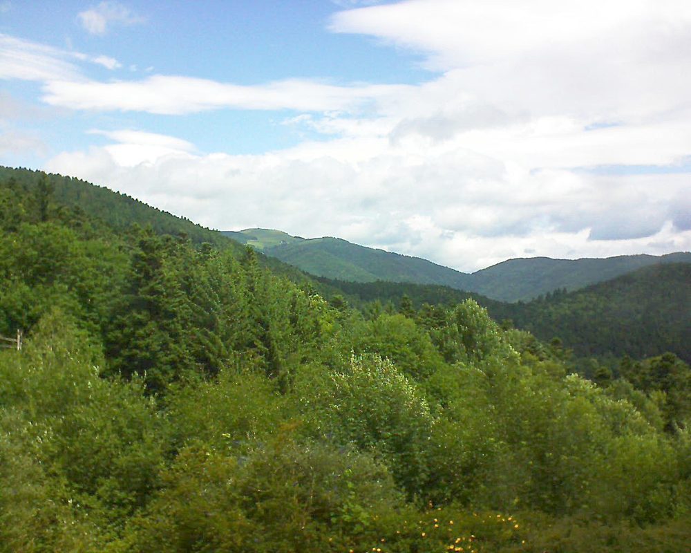 Le petit ballon vu depuis le Domaine Langmatt à Murbach le 28.06.2017 à 12:00 Le petit ballon (Alsace, Vosges) le 28.06.2017 à 12:00