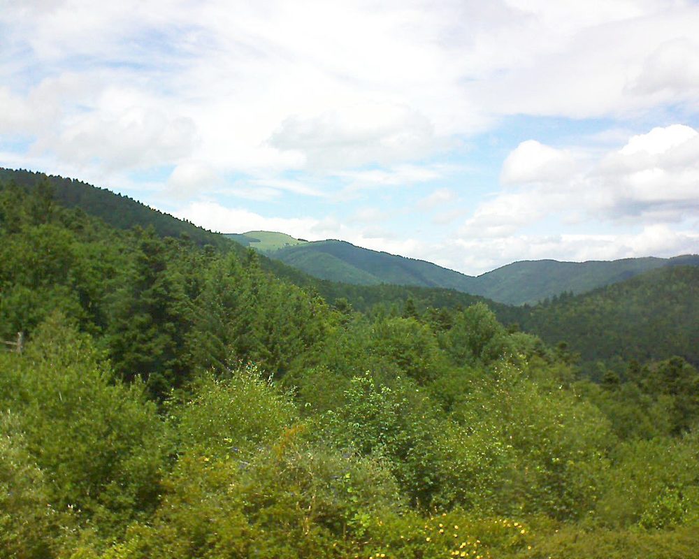 Le petit ballon vu depuis le Domaine Langmatt à Murbach le 28.06.2017 à 13:45 Le petit ballon (Alsace, Vosges) le 28.06.2017 à 13:45