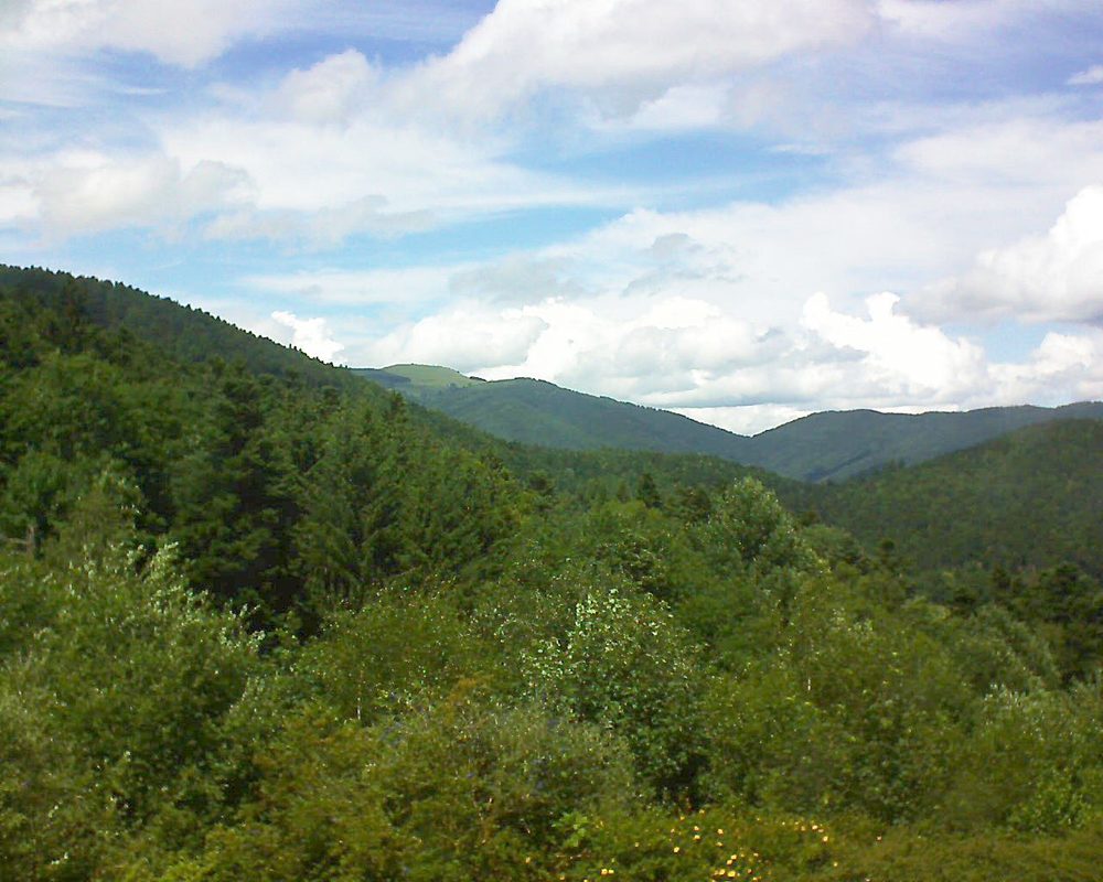 Le petit ballon vu depuis le Domaine Langmatt à Murbach le 28.06.2017 à 14:15 Le petit ballon (Alsace, Vosges) le 28.06.2017 à 14:15