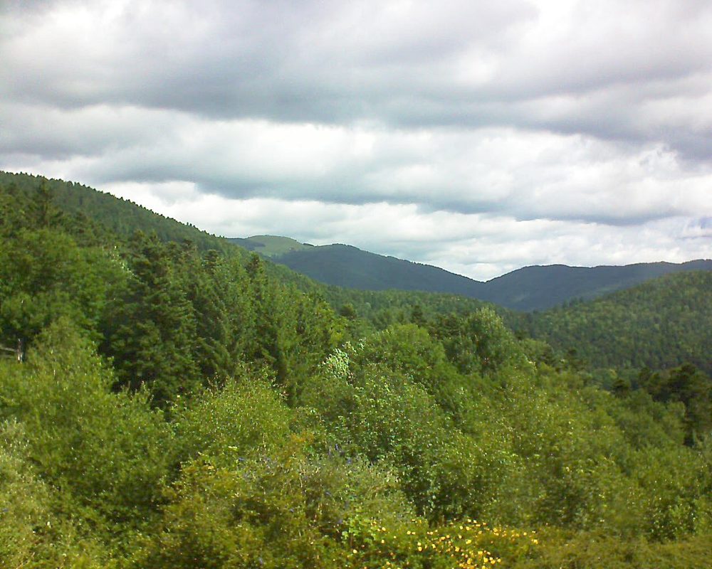 Le petit ballon vu depuis le Domaine Langmatt à Murbach le 30.06.2017 à 11:00 Le petit ballon (Alsace, Vosges) le 30.06.2017 à 11:00