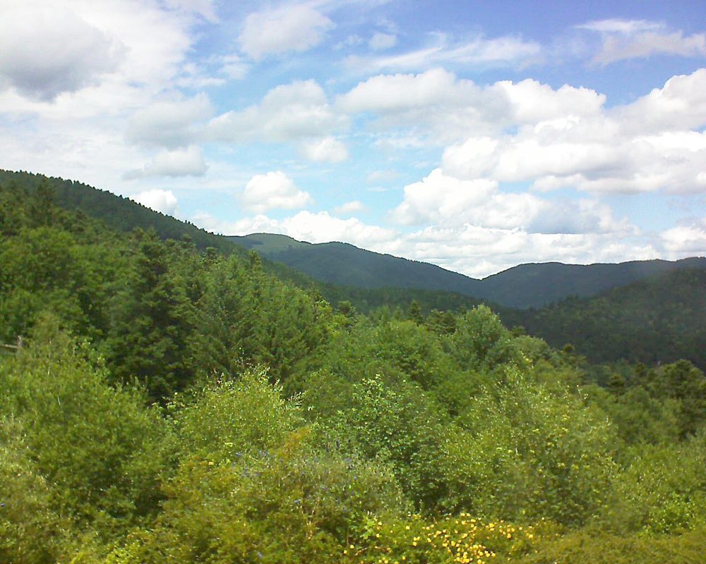 Le petit ballon vu depuis le Domaine Langmatt à Murbach le 30.06.2017 à 14:00 Le petit ballon (Alsace, Vosges) le 30.06.2017 à 14:00