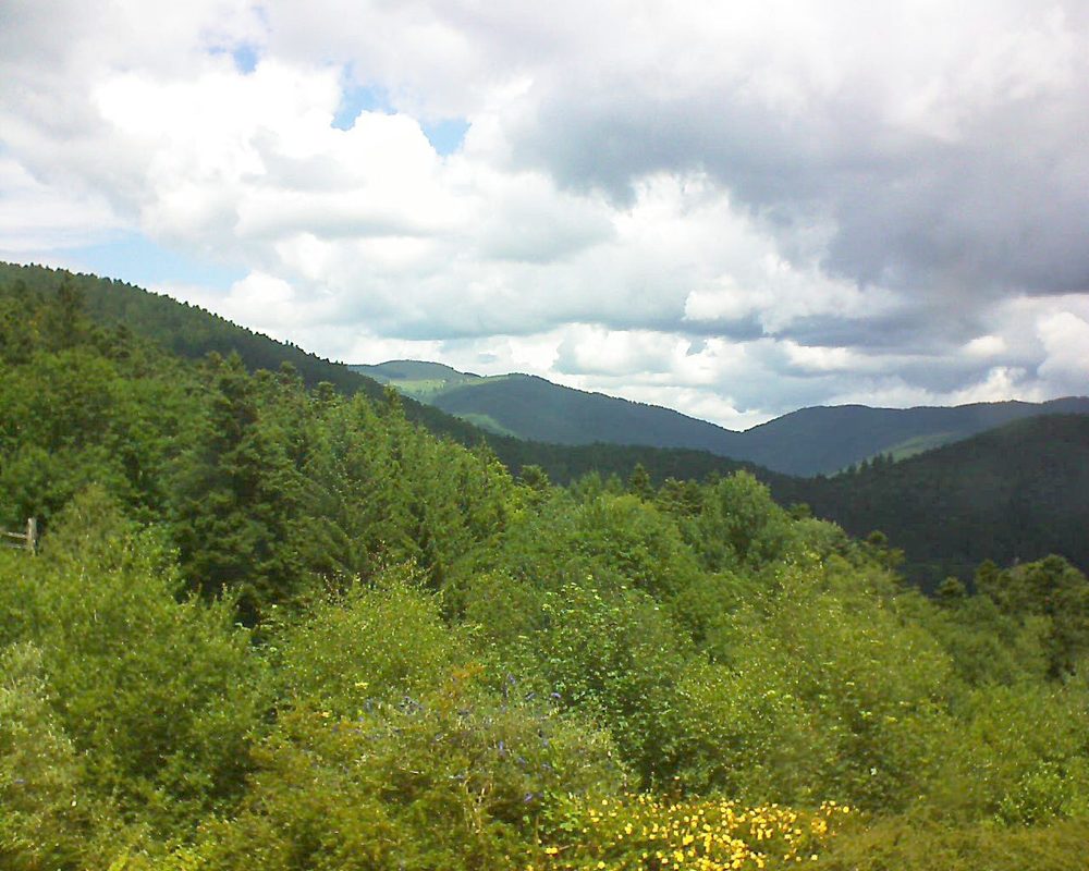 Le petit ballon vu depuis le Domaine Langmatt à Murbach le 03.07.2017 à 13:15 Le petit ballon (Alsace, Vosges) le 03.07.2017 à 13:15