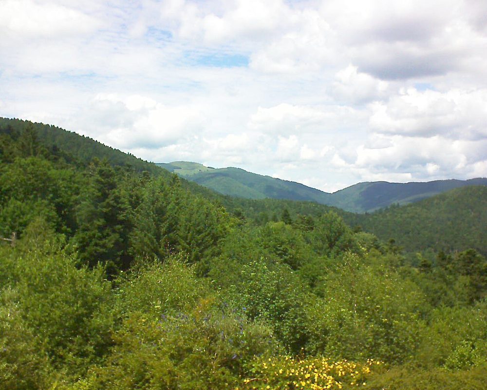Le petit ballon vu depuis le Domaine Langmatt à Murbach le 03.07.2017 à 14:30 Le petit ballon (Alsace, Vosges) le 03.07.2017 à 14:30