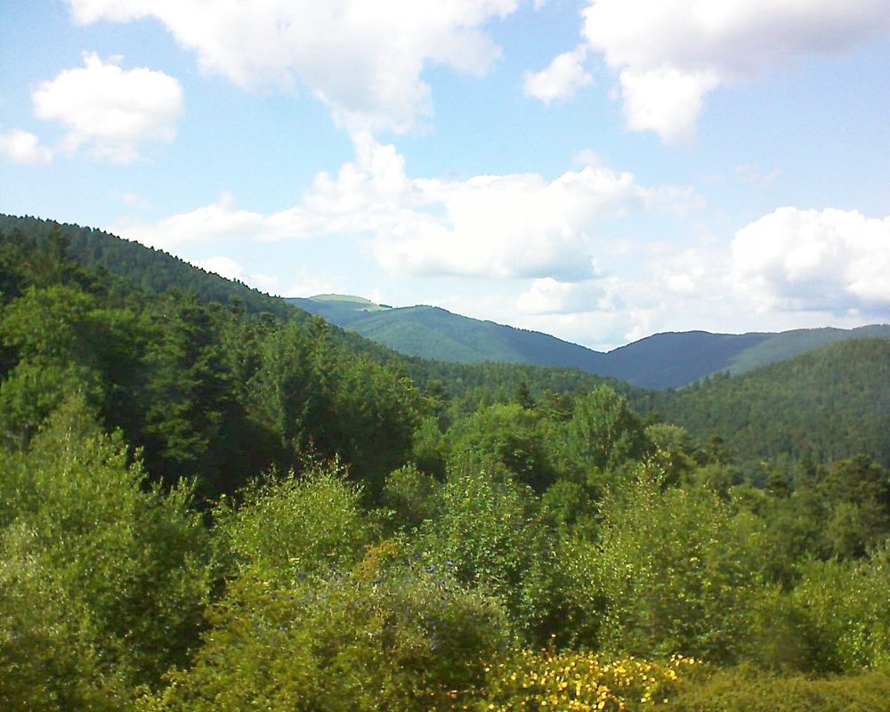 Le petit ballon vu depuis le Domaine Langmatt à Murbach le 03.07.2017 à 17:00 Le petit ballon (Alsace, Vosges) le 03.07.2017 à 17:00