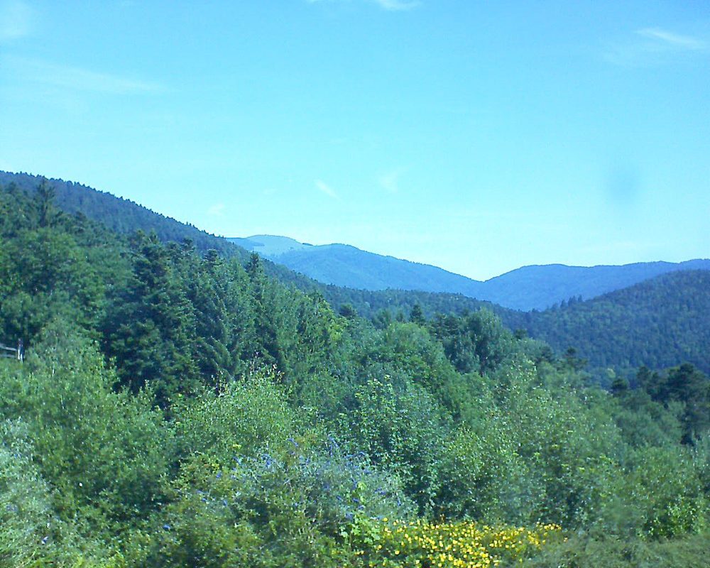 Le petit ballon vu depuis le Domaine Langmatt à Murbach le 05.07.2017 à 11:15 Le petit ballon (Alsace, Vosges) le 05.07.2017 à 11:15