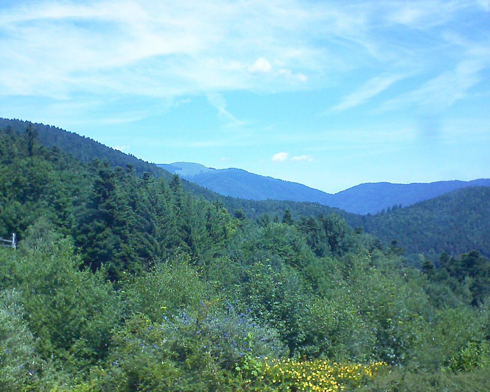 Le petit ballon vu depuis le Domaine Langmatt à Murbach le 05.07.2017 à 12:15 Le petit ballon (Alsace, Vosges) le 05.07.2017 à 12:15