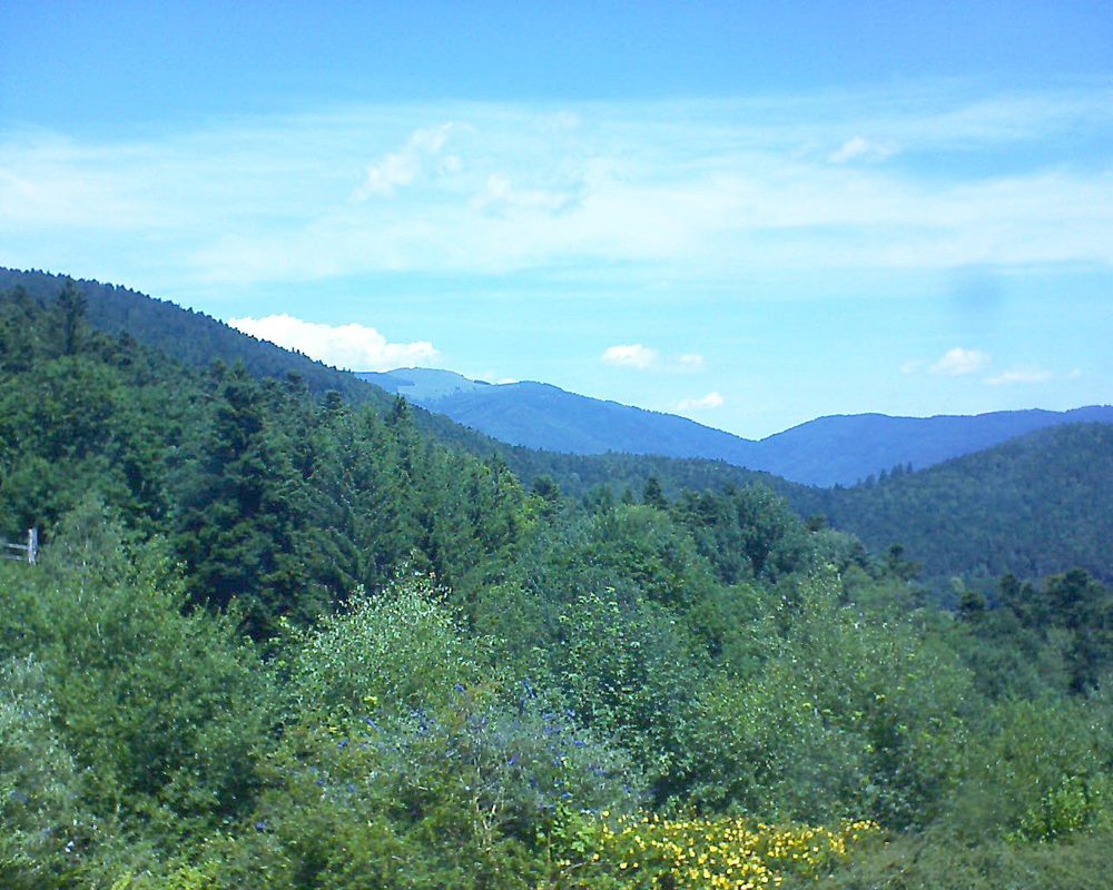 Le petit ballon vu depuis le Domaine Langmatt à Murbach le 05.07.2017 à 13:00 Le petit ballon (Alsace, Vosges) le 05.07.2017 à 13:00