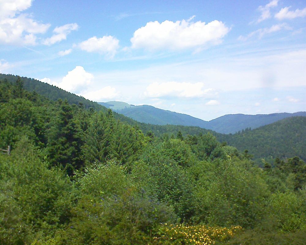 Le petit ballon vu depuis le Domaine Langmatt à Murbach le 05.07.2017 à 14:00 Le petit ballon (Alsace, Vosges) le 05.07.2017 à 14:00