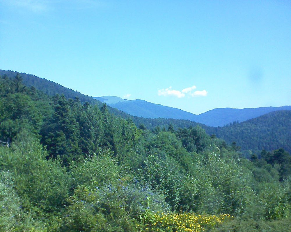 Le petit ballon vu depuis le Domaine Langmatt à Murbach le 06.07.2017 à 11:00 Le petit ballon (Alsace, Vosges) le 06.07.2017 à 11:00