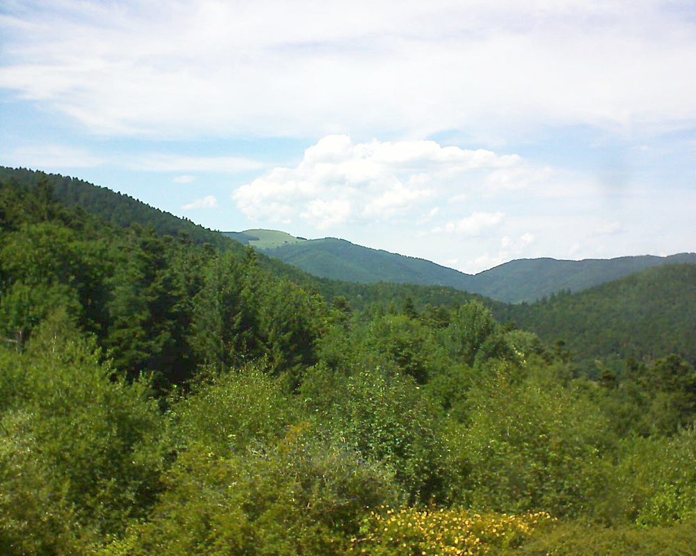 Le petit ballon vu depuis le Domaine Langmatt à Murbach le 06.07.2017 à 15:30 Le petit ballon (Alsace, Vosges) le 06.07.2017 à 15:30