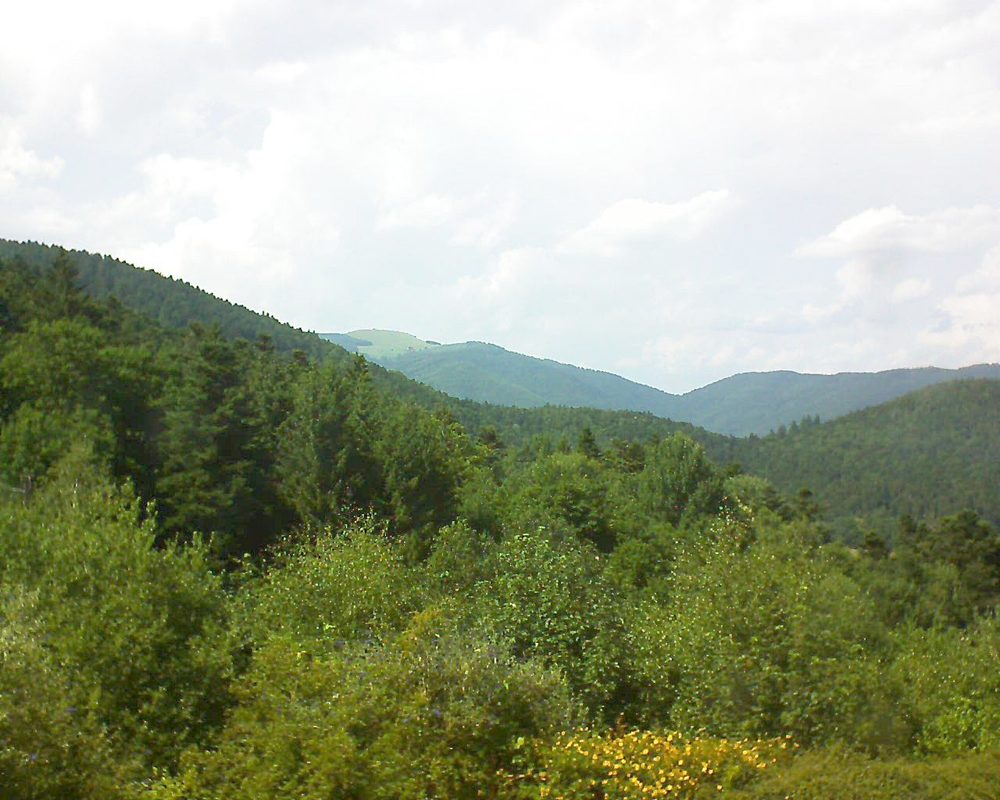 Le petit ballon vu depuis le Domaine Langmatt à Murbach le 08.07.2017 à 16:00 Le petit ballon (Alsace, Vosges) le 08.07.2017 à 16:00