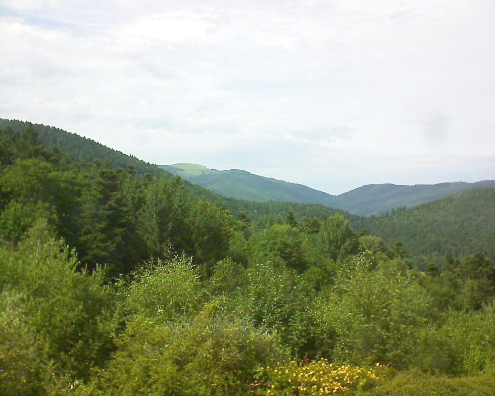 Le petit ballon vu depuis le Domaine Langmatt à Murbach le 09.07.2017 à 16:30 Le petit ballon (Alsace, Vosges) le 09.07.2017 à 16:30