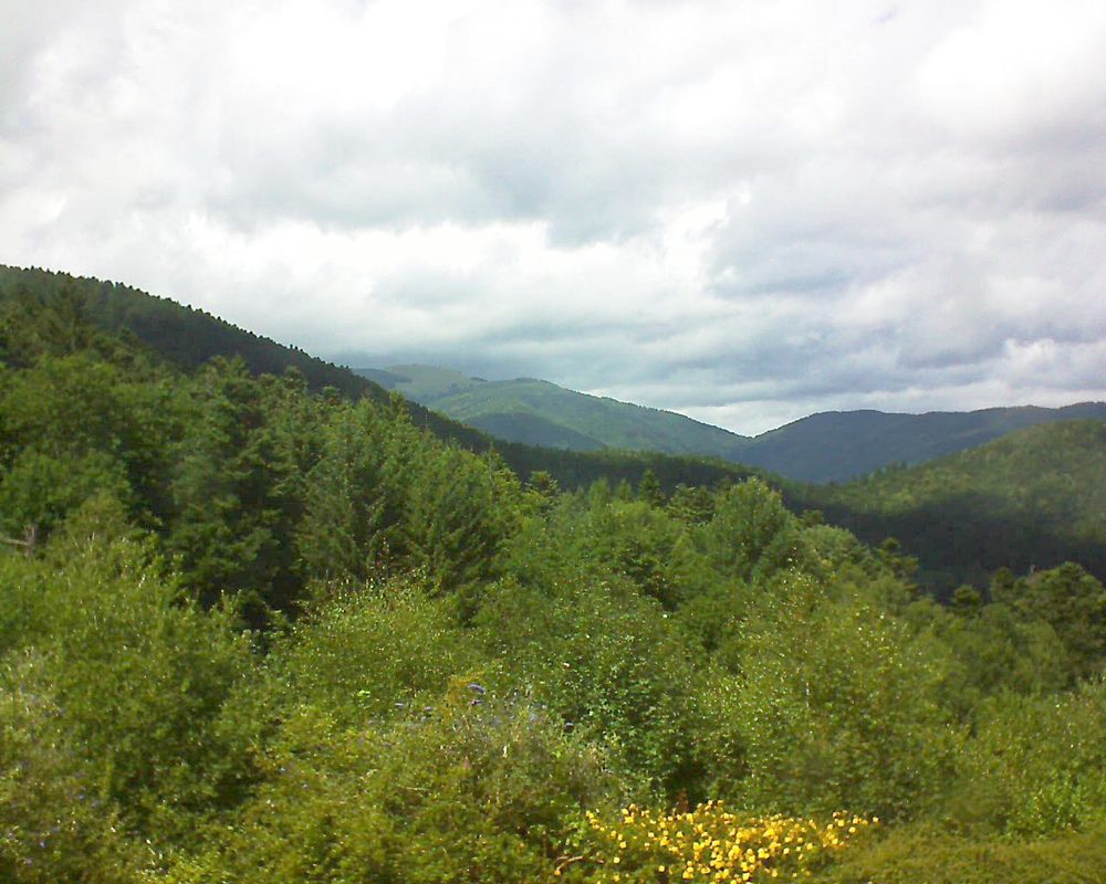 Le petit ballon vu depuis le Domaine Langmatt à Murbach le 12.07.2017 à 15:00 Le petit ballon (Alsace, Vosges) le 12.07.2017 à 15:00