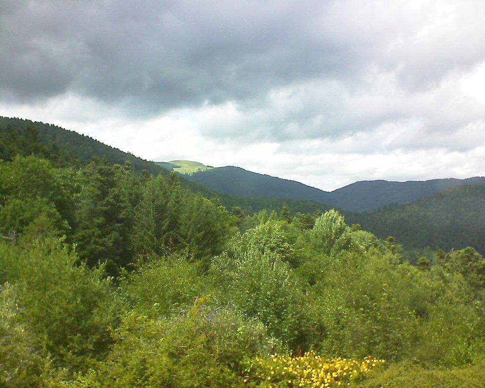 Le petit ballon vu depuis le Domaine Langmatt à Murbach le 12.07.2017 à 15:15 Le petit ballon (Alsace, Vosges) le 12.07.2017 à 15:15
