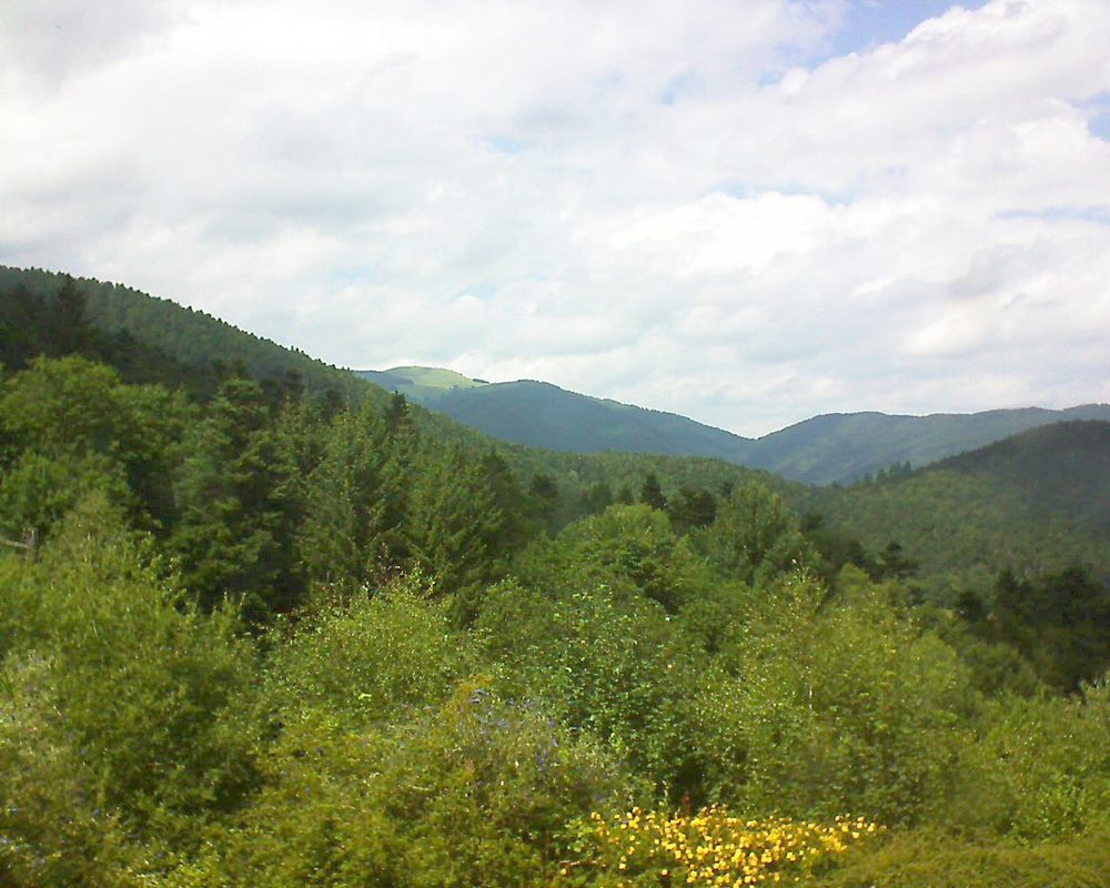 Le petit ballon vu depuis le Domaine Langmatt à Murbach le 13.07.2017 à 15:00 Le petit ballon (Alsace, Vosges) le 13.07.2017 à 15:00