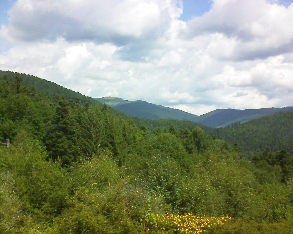 Le petit ballon vu depuis le Domaine Langmatt à Murbach le 14.07.2017 à 12:00 Le petit ballon (Alsace, Vosges) le 14.07.2017 à 12:00
