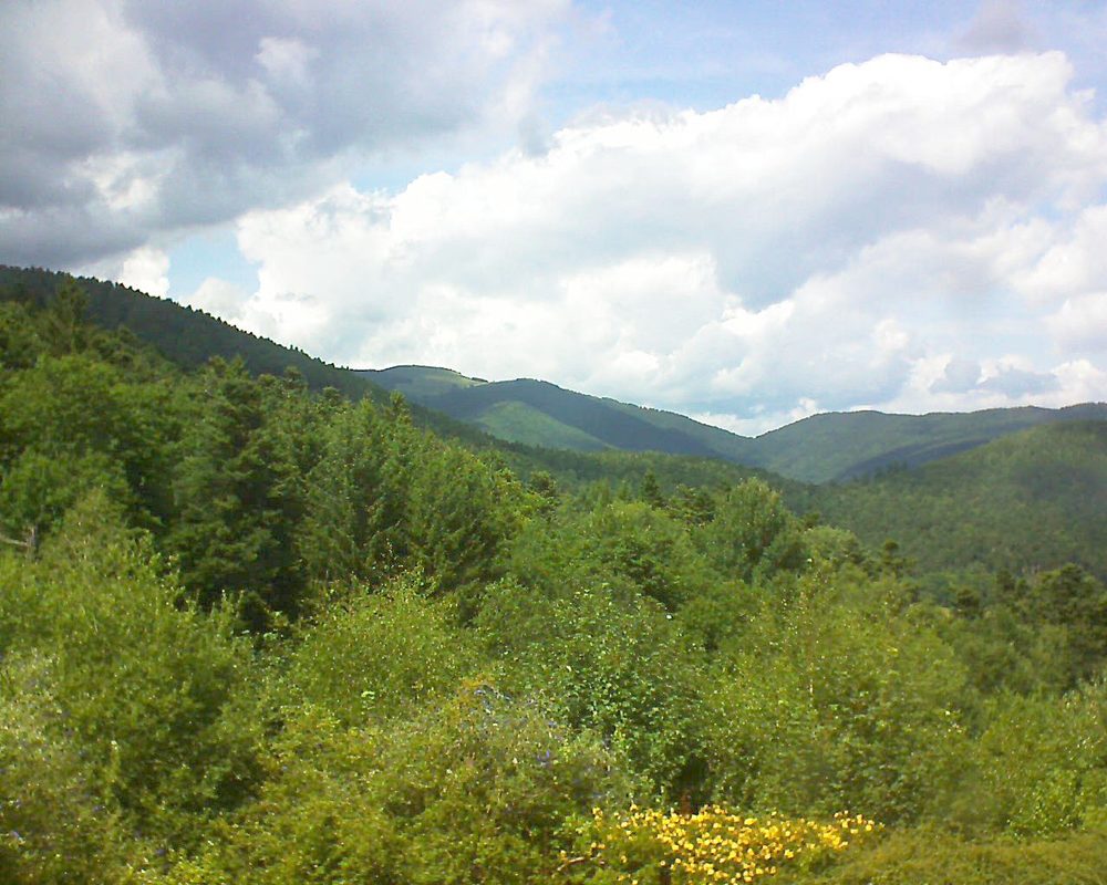 Le petit ballon vu depuis le Domaine Langmatt à Murbach le 14.07.2017 à 15:00 Le petit ballon (Alsace, Vosges) le 14.07.2017 à 15:00