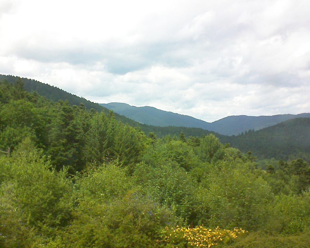 Le petit ballon vu depuis le Domaine Langmatt à Murbach le 15.07.2017 à 15:00 Le petit ballon (Alsace, Vosges) le 15.07.2017 à 15:00