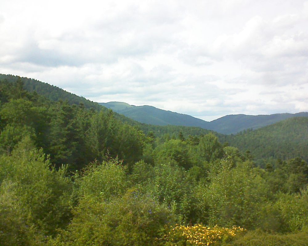 Le petit ballon vu depuis le Domaine Langmatt à Murbach le 15.07.2017 à 16:45 Le petit ballon (Alsace, Vosges) le 15.07.2017 à 16:45