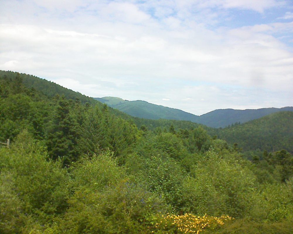 Le petit ballon vu depuis le Domaine Langmatt à Murbach le 16.07.2017 à 13:15 Le petit ballon (Alsace, Vosges) le 16.07.2017 à 13:15