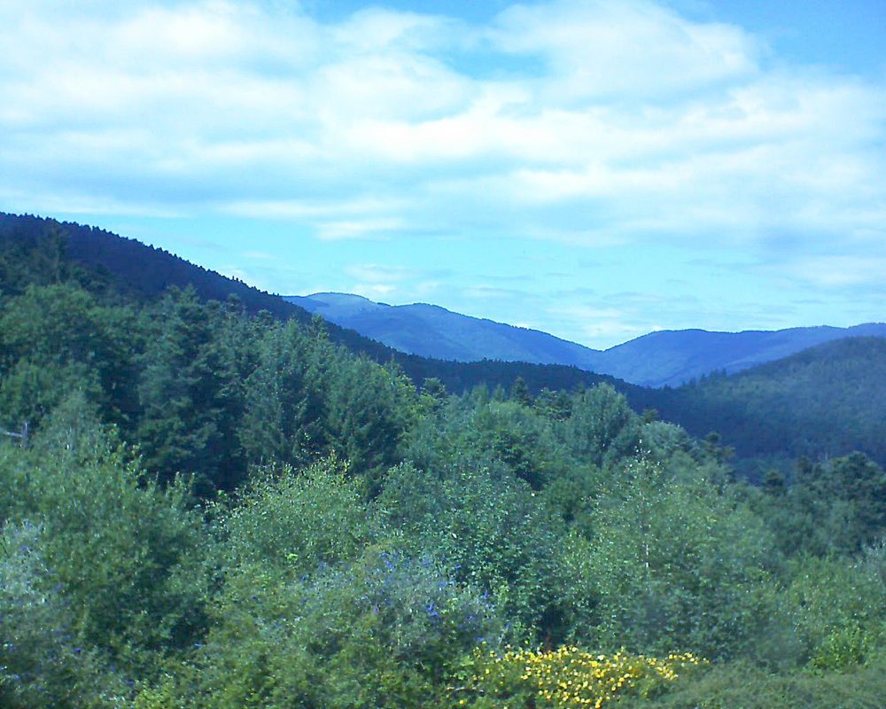 Le petit ballon vu depuis le Domaine Langmatt à Murbach le 16.07.2017 à 15:15 Le petit ballon (Alsace, Vosges) le 16.07.2017 à 15:15