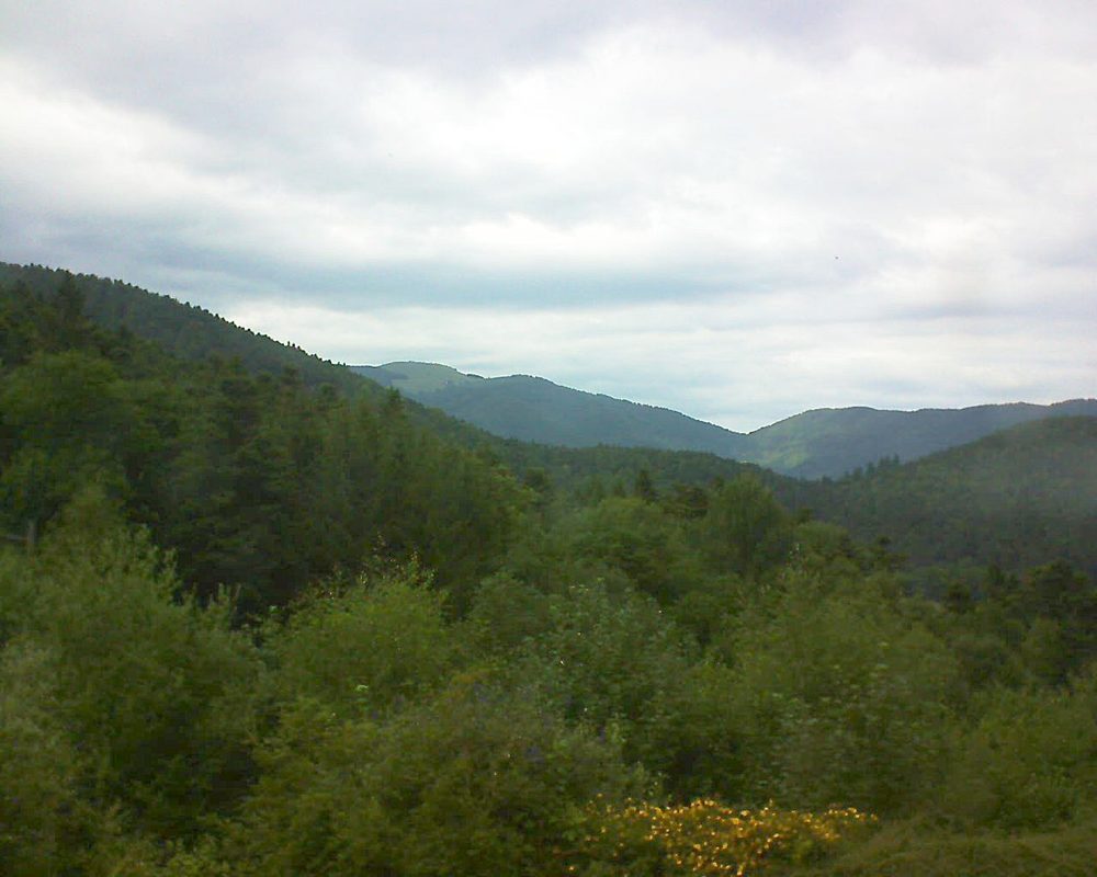 Le petit ballon vu depuis le Domaine Langmatt à Murbach le 16.07.2017 à 16:00 Le petit ballon (Alsace, Vosges) le 16.07.2017 à 16:00